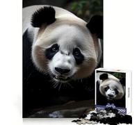 Rompecabezas Panda Nature para Adultos, 1000 Piezas, fortalece la Memoria, Relajante, Divertido, de Calidad, Regalo para Festivales (50x75cm)