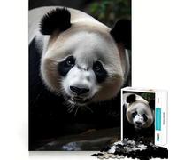 Rompecabezas Panda Nature para Adultos, 1000 Piezas, fortalece la Memoria, Relajante, Divertido, de Calidad, Regalo para Festivales (50x75cm)