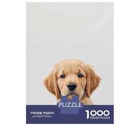 Rompecabezas para Adolescentes 1000 Cute Baby Golden Retriever Rompecabezas para Adolescentes Juego De Ingenio Decoración De Pared Regalos Y Cumpleaños Únicos 38x26cm/1000pcs