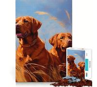 Rompecabezas para Adolescentes 1000 Dos labradores Rojos de Corte preciso Divertido Juego Creativo para el Cerebro Relajarse Tiempo de diversión Regalo de Arte navideño (50x75cm)