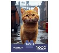 Rompecabezas para Adolescentes 1000 Ginger Cat in Urban Setting Rompecabezas para Adultos Juego De Ingenio Carrera De Velocidad De Manos para Cumpleaños, Navidad 38x26cm/1000pcs