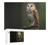 Rompecabezas para Adolescentes 1000 PCS Barn Owl with Orange and Black Feathers Rompecabezas para Adultos Juegos Divertidos Análisis Y Lógica Interacción Entre Padres E Hijos 1000 PCS