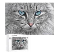 Rompecabezas para Adolescentes 1000 PCS Blue-Eyed Fluffy Cat Close-Up Rompecabezas Juguetes Antiestrés Decoración Diversión En Casa Actividades, 1000 PCS