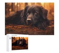 Rompecabezas para Adolescentes 1000 PCS Golden Hour Forest Dog Resting Rompecabezas para Adultos Juegos Familiares Análisis Y Lógica Actividades Divertidas En Casa 1000 PCS