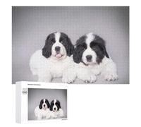 Rompecabezas para Adolescentes 1000 PCS Rompecabezas Landseer Puppies Rompecabezas para Adultos Juguetes Antiestrés Análisis Y Lógica para Cumpleaños, Navidad 1000 PCS