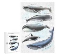 Rompecabezas para Adolescentes 1000 PCS Set of Watercolor Whales Rompecabezas para Adultos Juguetes Antiestrés Arte De Pared Interacción Entre Padres E Hijos 1000 PCS