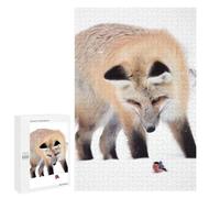 Rompecabezas para Adolescentes 1000 PCS The Fox and The Bullfinch Rompecabezas para Adultos Juegos Relajantes Decoración Perfecta Regalos De Cumpleaños Y Únicos 1000 PCS