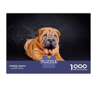 Rompecabezas para Adolescentes 1000 Piezas Chinese Shar Pei Rompecabezas para Adultos Juegos Familiares Análisis Y Lógica para Cumpleaños, Navidad 70x50cm/1000pcs