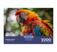 Rompecabezas para Adolescentes 1000 Piezas Colorful Parrot in Nature Rompecabezas para Adultos Juego De Ingenio Difícil Difícil Regalos para Reducir El Estrés 52x38cm/1000pcs