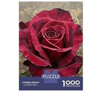 Rompecabezas para Adolescentes 1000 Piezas Crimson Rose Painting Rompecabezas para Adultos Juguete Decoración De Pared Corte De Precisión Ayuda A Ejercitar El Cerebro 70x50cm/1000pcs