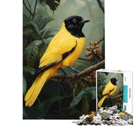 Rompecabezas para Adolescentes 1000 Piezas de Aves del paraíso Doradas en la Selva Tropical Juegos relajantes Juguete Intelectual Excelentes Regalos y Juguetes para Actividades Familiares (38x52cm)