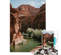 Rompecabezas para adolescentes 1000 piezas de paisajes de cañones y ríos Un reto para completar pero divertido y con humor Juego práctico para mayores de 14 años Juego de rompecabezas incluido 38x52cm
