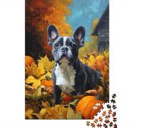 Rompecabezas para Adolescentes 1000 Piezas Fall Pumpkin French Bulldog Rompecabezas para Adolescentes Juegos Relajantes Decoración Interacción Entre Padres E Hijos 52x38cm/1000pcs