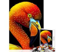 Rompecabezas para Adolescentes 1000 Piezas Primer Plano Flamenco Retrato Animal decoración del hogar Juguetes Regalo Divertido Juego práctico Interesante reducción del estrés tamaño 50x75cm