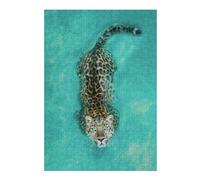 Rompecabezas para Adolescentes 1000pcs(38x26cm) Leopard Swimming in Water-4 Rompecabezas para Adultos Juguetes De Bricolaje Que Mejoran La Memoria Difícil Y Desafiante 1000pcs(38x26cm)
