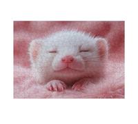 Rompecabezas para Adolescentes 1000pcs(38x26cm) Sleeping White Ferret on Pink Fur Rompecabezas para Adultos Juego De Ingenio Patrón De Montaje para Cumpleaños, Navidad 1000pcs(38x26cm)