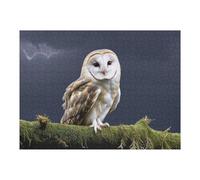 Rompecabezas para Adolescentes 1000pcs(52x38cm) Barn Owl in Stormy Sky Rompecabezas Juguetes Antiestrés Difíciles Regalos De Cumpleaños Y Únicos 1000pcs(52x38cm)