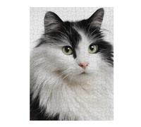 Rompecabezas para Adolescentes 1000pcs(52x38cm) Fluffy Black & White Cat Rompecabezas para Adultos Juguetes De Bricolaje Análisis Y Lógica Difícil Y Desafiante 1000pcs(52x38cm)