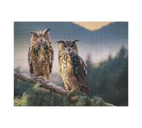 Rompecabezas para Adolescentes 1000pcs(52x38cm) Two Owls on A Branch Rompecabezas para Adultos Juego Práctico Decoración del Hogar Diversión En El Hogar Actividades, 1000pcs(52x38cm)