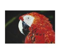 Rompecabezas para Adolescentes 1000pcs(75x50cm) Parrot Rompecabezas Juegos Relajantes Difícil Difícil Y Desafiante 1000pcs(75x50cm)