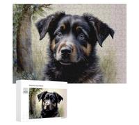 Rompecabezas para Adolescentes 300 PCS Adorable Australian Shepherd Pup -2 Rompecabezas para Adultos Juguetes De Bricolaje Desafío Difícil Cumpleaños 300 PCS