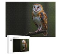 Rompecabezas para Adolescentes 300 PCS Barn Owl with Orange and Black Feathers Rompecabezas para Adultos Juegos Relajantes Desafío Difícil Actividades Divertidas En Casa 300 PCS