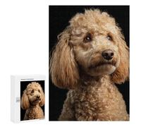 Rompecabezas para Adolescentes 300 PCS Golden Poodle Dog Breed-1 Rompecabezas para Adultos Juego De Ingenio Alivia El Estrés Regalos Y Actividades Únicas para Cumpleaños 300 PCS