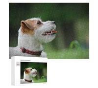 Rompecabezas para Adolescentes 300 PCS Jack Russell Terrier Rompecabezas para Adultos Juegos De Relajación Ensamblaje De Patrones Interacción Entre Padres E Hijos 300 PCS