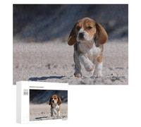 Rompecabezas para Adolescentes 300 PCS Rompecabezas Beagle on The Beach Rompecabezas para Adultos Juguetes Antiestrés Análisis Y Lógica para Cumpleaños, Navidad 300 PCS