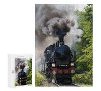 Rompecabezas para Adolescentes 300 PCS Vintage Steam Train in Nature Rompecabezas para Adultos Juegos Relajantes Decoración Actividades Divertidas En Casa 300 PCS