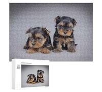 Rompecabezas para Adolescentes 300 PCS Yorkie Puppies Rompecabezas para Adultos Juegos Relajantes Desafío Difícil Actividades Divertidas En Casa 300 PCS