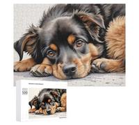 Rompecabezas para Adolescentes 500 PCS Adorable Australian Shepherd Pup Rompecabezas para Adultos Juego Práctico Que Mejora La Memoria Actividades Divertidas En Casa 500 PCS