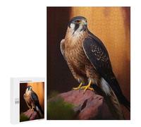 Rompecabezas para Adolescentes 500 PCS Aplomado Falcon Oil Paint Rompecabezas para Adultos Juegos Relajantes Decoración Actividades Divertidas En Casa 500 PCS