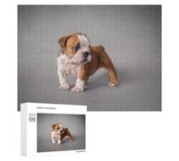 Rompecabezas para Adolescentes 500 PCS English Bulldog Puppy Rompecabezas para Adultos Juegos Relajantes Desafío Difícil Actividades Divertidas En Casa 500 PCS