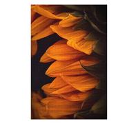 Rompecabezas para Adolescentes 75x50cm/1000pcs Golden Petals Rompecabezas para Adultos Juguete Decoración De Pared Mejora La Memoria Juego Desafiante Regalos 75x50cm/1000pcs