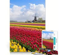 Rompecabezas para Adolescentes Campos de Tulipanes de los Países Bajos de 1000 Piezas, Juguete de lógica Mental, Alivio de la ansiedad, Corte Firme, Regalo de cumpleaños (38x26cm)