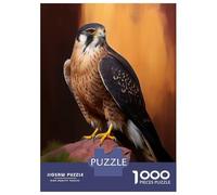Rompecabezas para Adolescentes De 1000 Piezas Aplomado Falcon Oil Paint Rompecabezas para Adultos Juguetes De Bricolaje Análisis Y Lógica Diversión En Casa Actividades, 38x26cm/1000pcs