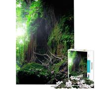 Rompecabezas para Adolescentes de 1000 Piezas Bosque Místico de Fantasía Rompecabezas para Adultos Juego práctico Una Obra de Arte Interacción Entre Padres e Hijos (tamaño 50x75cm)