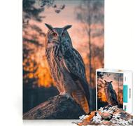 Rompecabezas para Adolescentes de 1000 Piezas Búho pájaro Atardecer Animales Juegos educativos para Mejorar la Memoria Regalo de cumpleaños 38x52cm