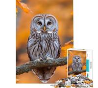 Rompecabezas para Adolescentes de 1000 Piezas Búho posado en una Rama en otoño Juguetes educativos Juego práctico de análisis y lógica Ideas de Regalo (Tamaño 50x75cm)