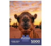 Rompecabezas Para Adolescentes De 1000 Piezas Camel Portrait at Sunset Wildlife Photo Rompecabezas Para Adultos Juguetes Antiestrés Decoración De Pared Interacción Entre Padres E Hijos 70x50cm/1000pcs