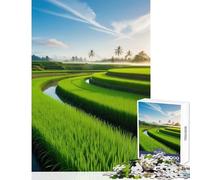 Rompecabezas para Adolescentes de 1000 Piezas Campo de arroz al Amanecer Juguete para decoración de Pared Regalo de cumpleaños Juegos educativos Entrena tu Cerebro y Tus Manos tamaño 38x26cm