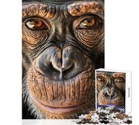 Rompecabezas para Adolescentes de 1000 Piezas Cara de chimpancé en Primer Plano Juego Imposible Juguetes educativos antiestrés Regalo de cumpleaños Regalos de Viaje (50x75cm)