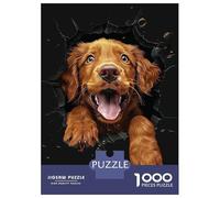 Rompecabezas para Adolescentes De 1000 Piezas Chesapeake Bay Retriever Rompecabezas Juguetes DIY Alivia El Estrés Interacción Entre Padres E Hijos 38x26cm/1000pcs