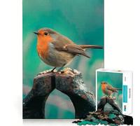 Rompecabezas para Adolescentes de 1000 Piezas con diseño de Aves,Corte Premium,Divertido,lógico y de Habilidad,fácil de Usar,Ideal para exhibir en Navidad (38x52cm)