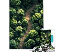 Rompecabezas para Adolescentes de 1000 Piezas con diseño de Sendero Forestal Rompecabezas para Adultos Juegos relajantes Regalo de cumpleaños difícil y desafiante (tamaño 50x75cm)