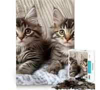 Rompecabezas para Adolescentes de 1000 Piezas con Dos Gatitos Maine Coon Diseño de Corte preciso Diversión para Resolver Problemas Tiempo de relajación y diversión Decoración navideña Arte (50x75cm)