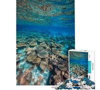 Rompecabezas para Adolescentes de 1000 Piezas con Paisaje Submarino de arrecifes de Coral Rompecabezas para Adultos y Familia Juego Que Mejora la Memoria (tamaño 38x52cm)