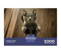 Rompecabezas para Adolescentes De 1000 Piezas Curious Grey Cat Rompecabezas Juegos Relajantes Pero Divertidos Y Humorísticos Cumpleaños 52x38cm/1000pcs