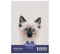 Rompecabezas para Adolescentes De 1000 Piezas Cute Baby Ragdoll Cat Rompecabezas para Adultos Juegos Relajantes Regalos para Mujeres Regalos De Juegos Desafiantes 38x26cm/1000pcs